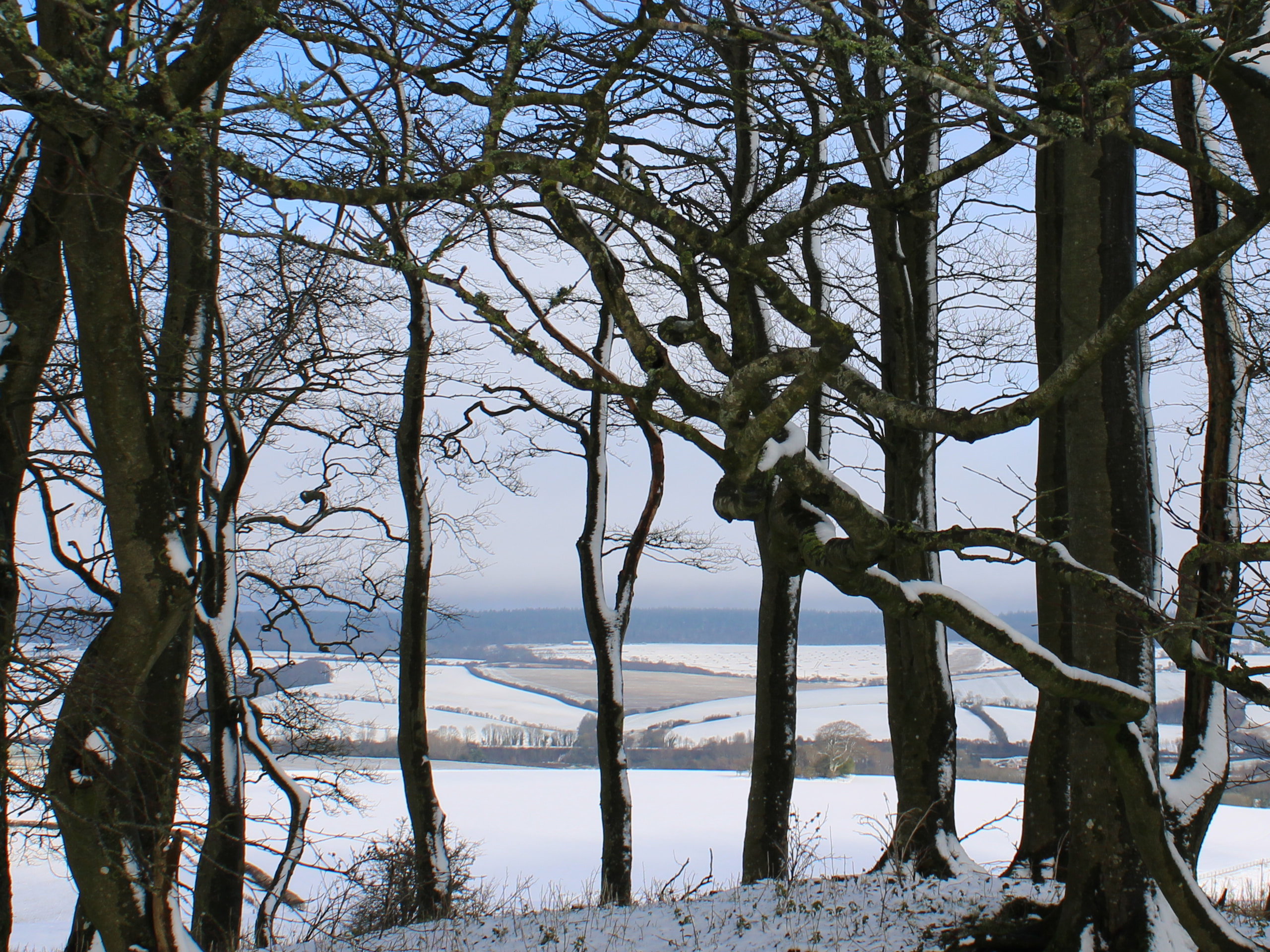 Family Counselling Salisbury